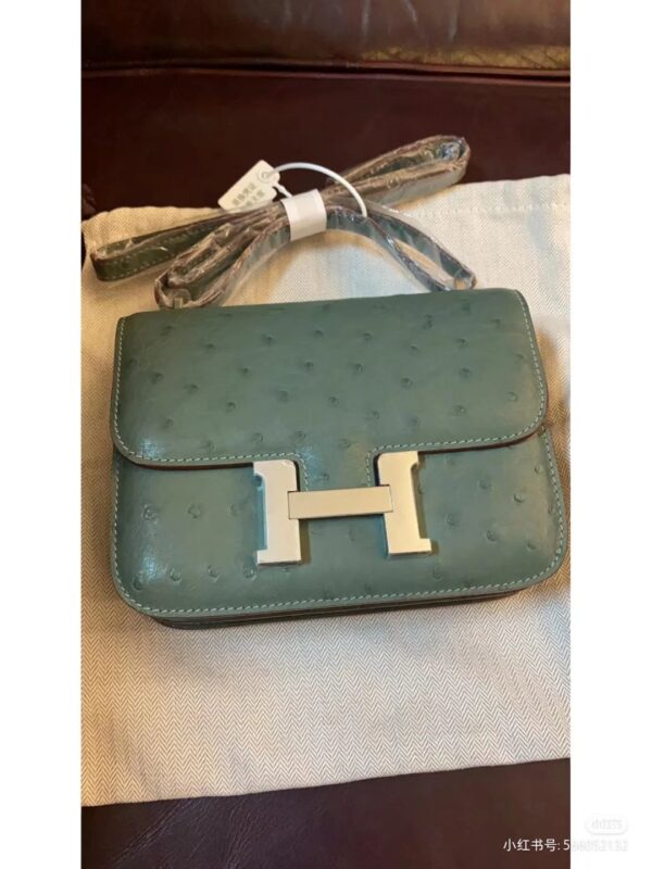 Constance 18 Ostrich in Vert Cypress