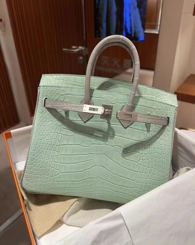 Birkin 25 Crocodile in Vert D’Eau
