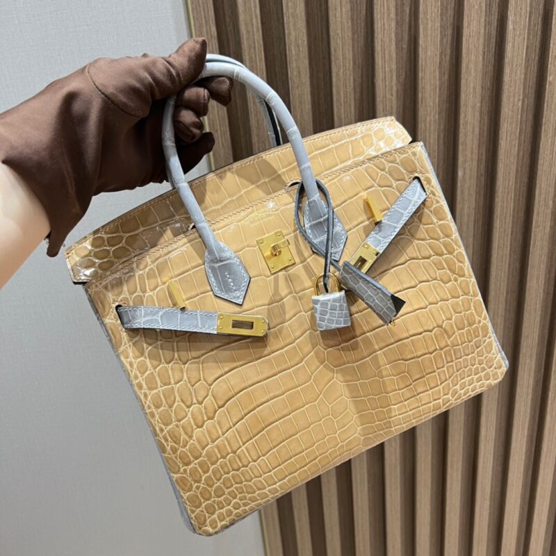 Birkin 25 Nile Crocodile Glossy in Trench&Bleu Glacier