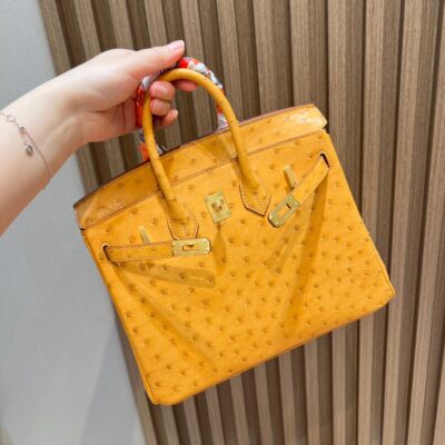 Birkin 25 Ostrich in Saffron
