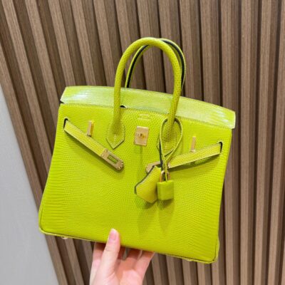 Birkin 25 Lizard in Vert Criquet