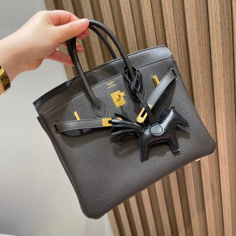 Birkin 25 Togo in Ebene