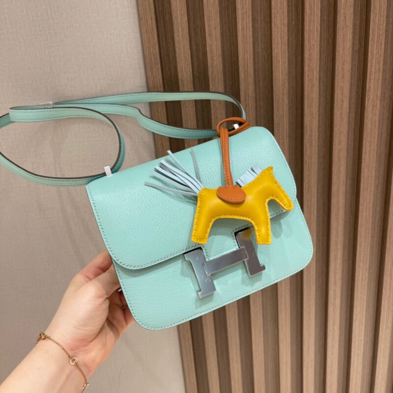 Constance 18 Chevre Mysore in Aqua