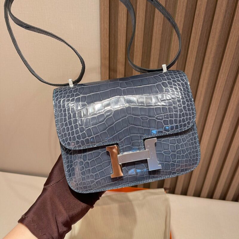 Constance 18 Shiny American Alligator in Blue Tempete