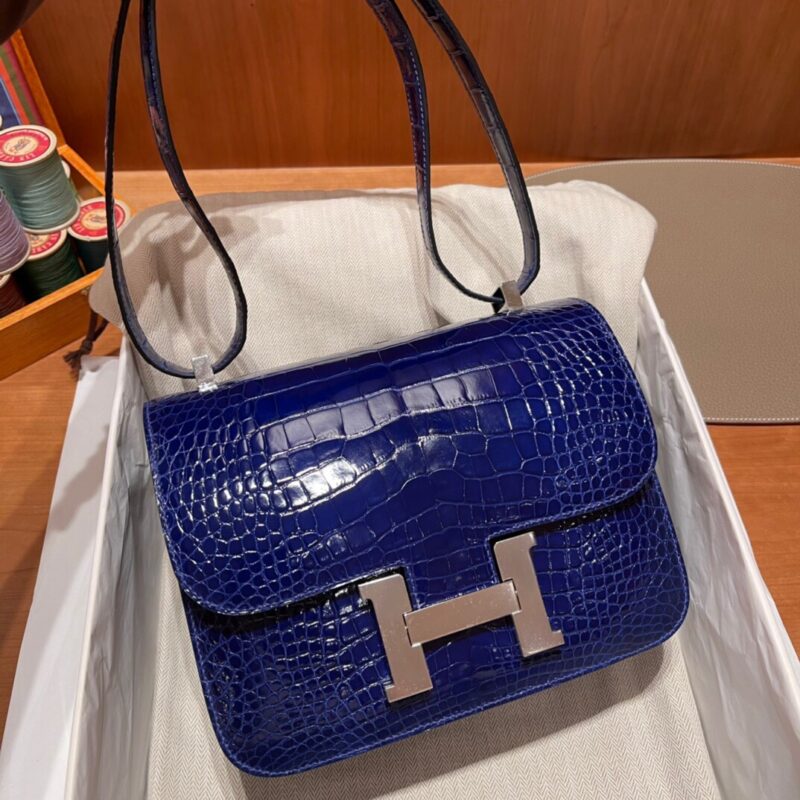 Constance 24 American Alligator in Electric Blue