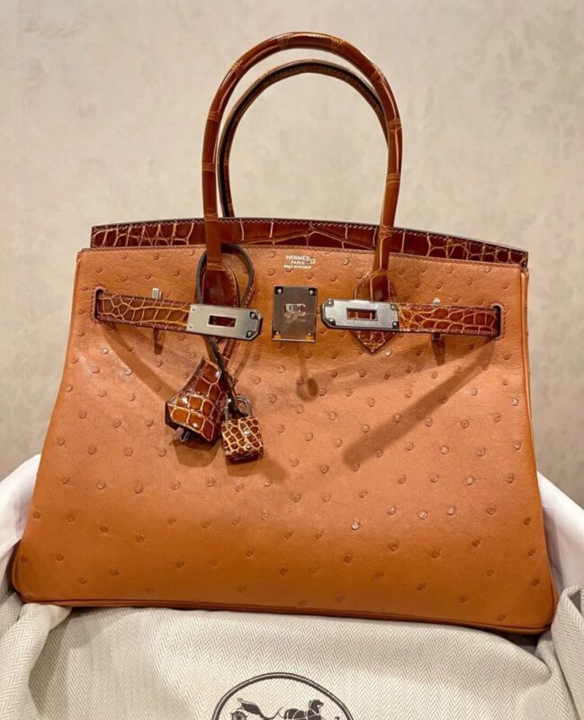 Birkin 25 Miele Brown Ostrich&Crocodile