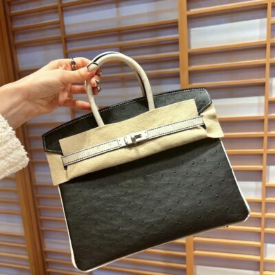 Birkin 25 Ostrich in Noir