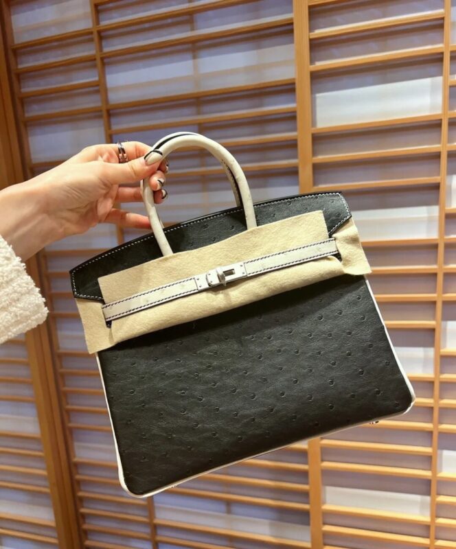 Birkin 25 Ostrich in Noir