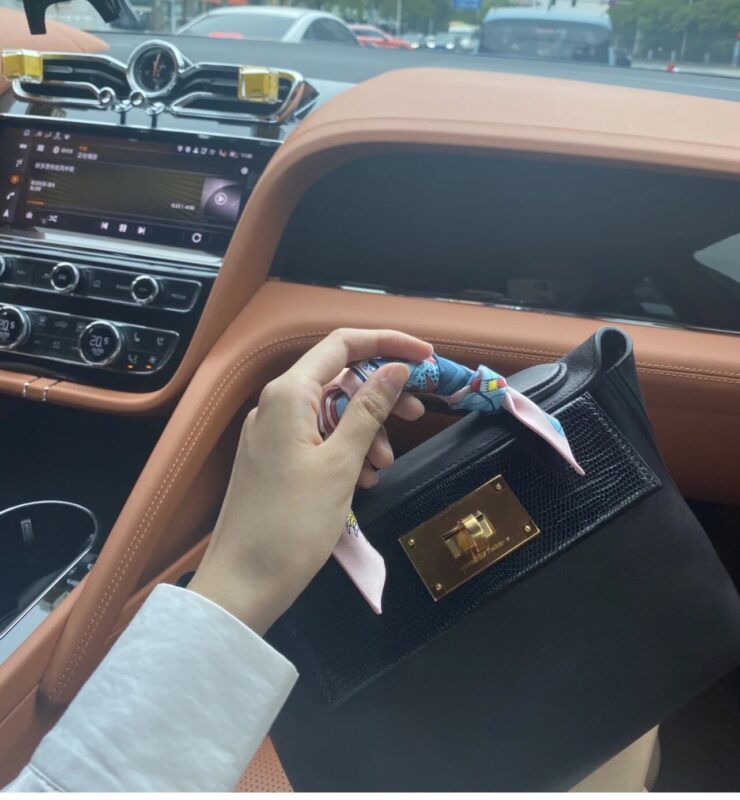 Mini 24/24 Touch lizard is too advanced