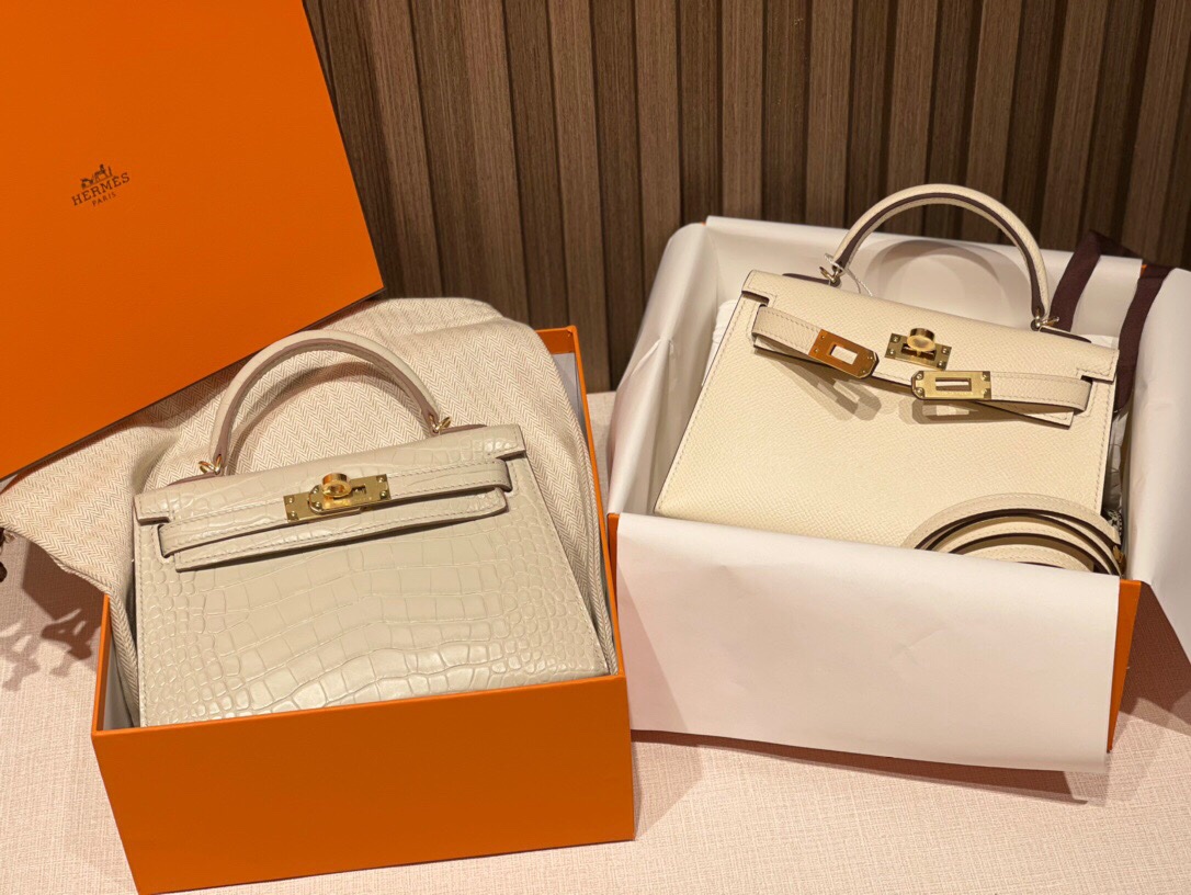 img_8726 Birkin 25 Beton Alligator&Nata Epsom - Image 1