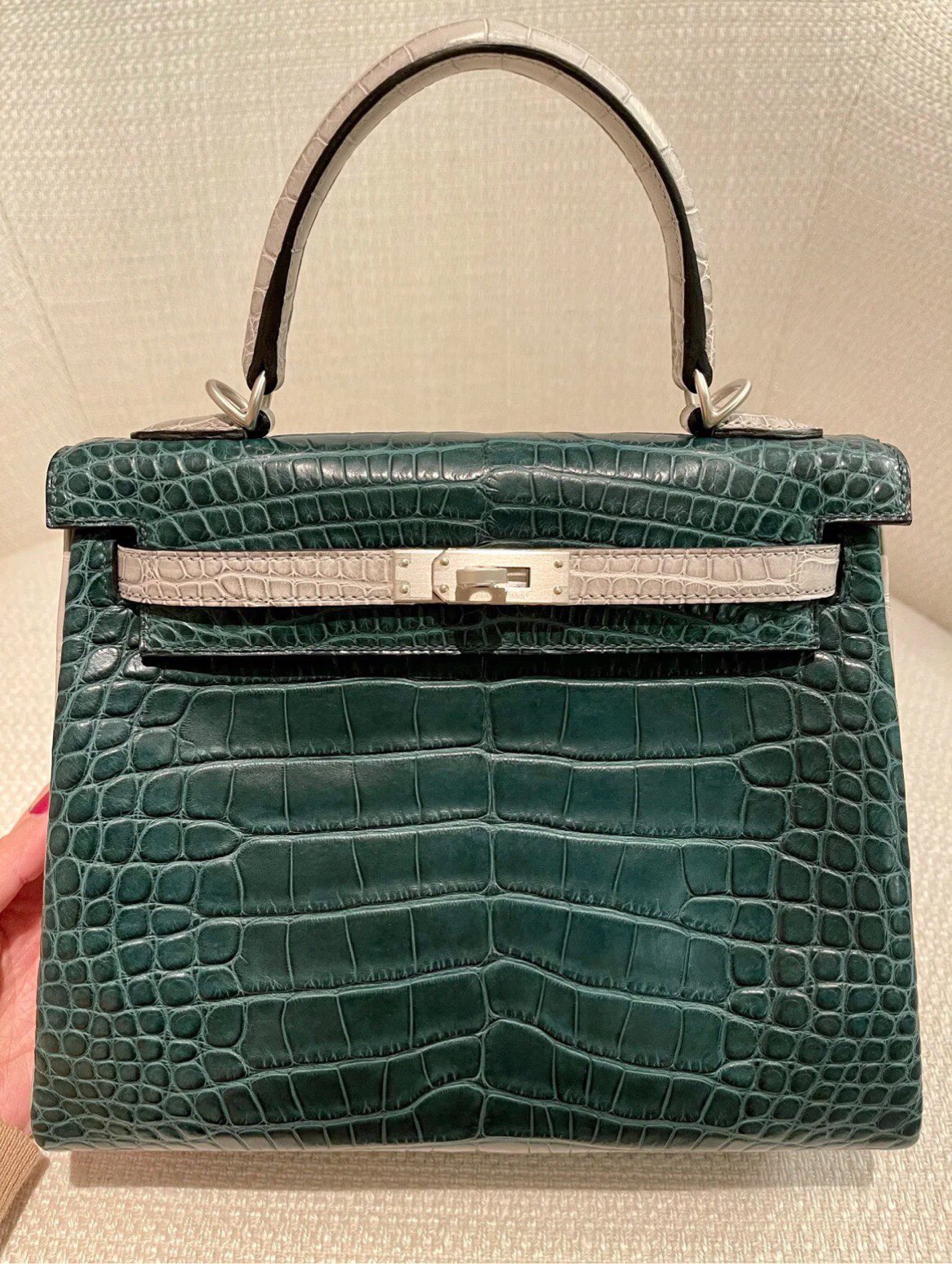 img_8739 Birkin 25 in Pine&Vert Cypress Crocodile - Image 1