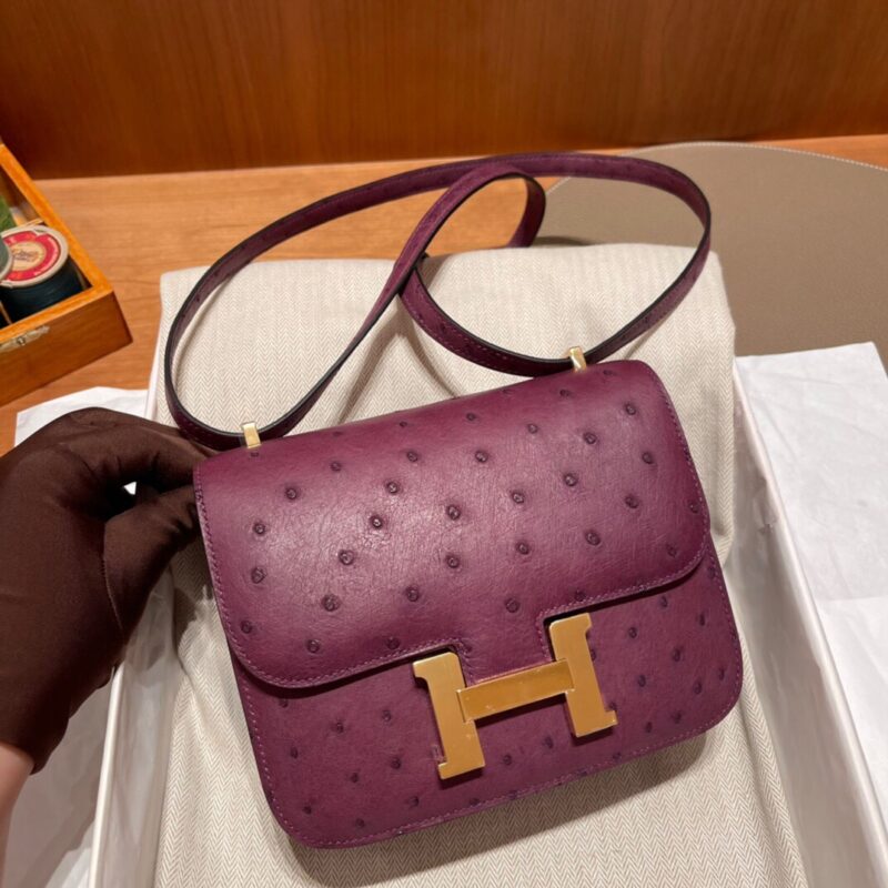 Constance 18 Ostrich in Anemone