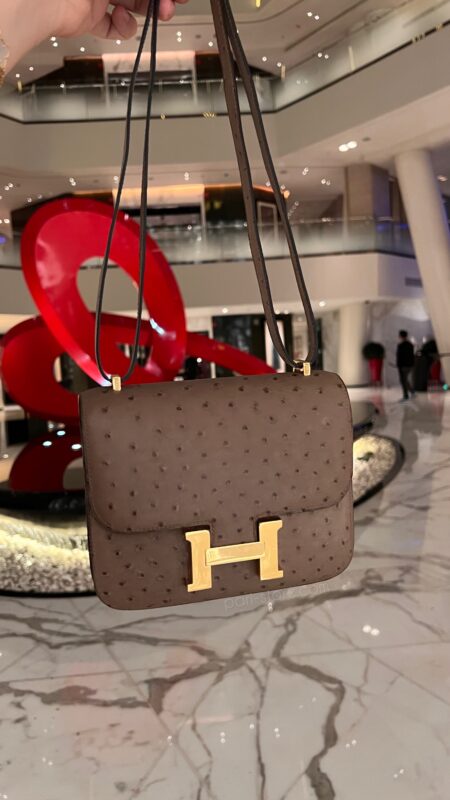 Constance 18 Ostrich in Gris Asphalte