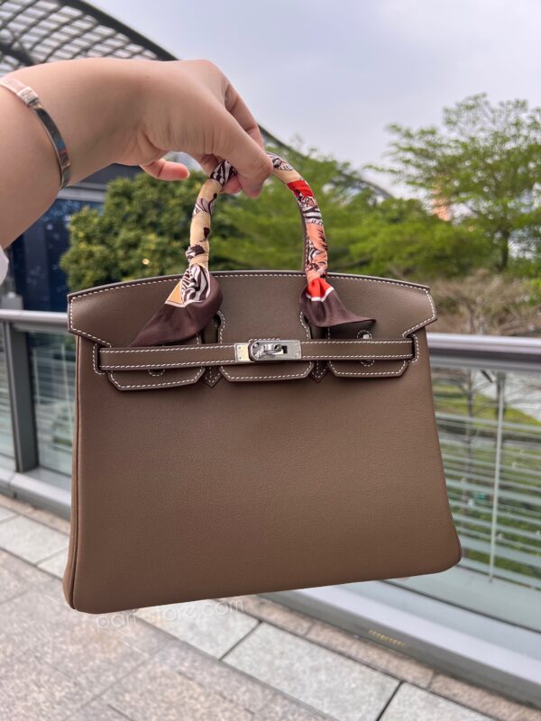 Birkin 25 Swift in Etoupe