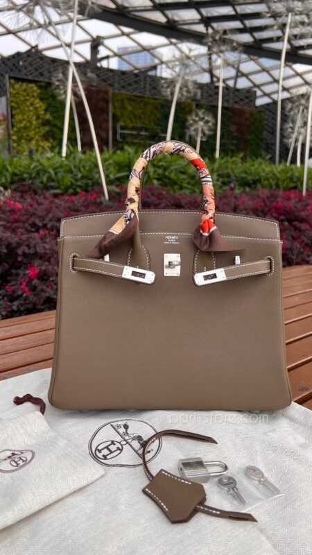 Birkin 25 Swift in Etoupe