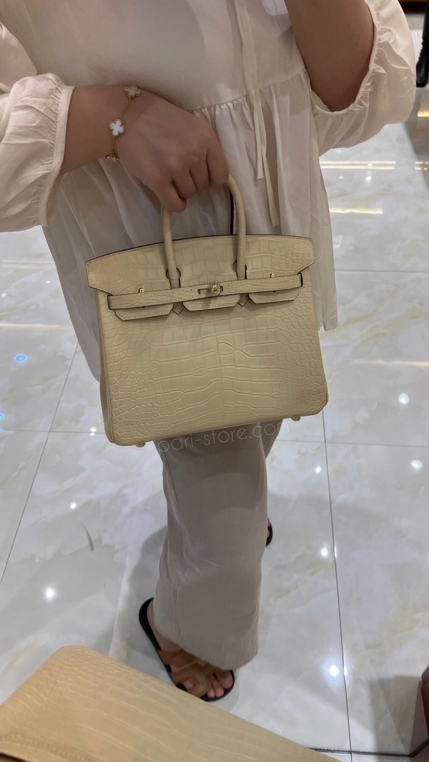 photo-output Birkin 30 Matte Crocodile in Nata - Image 1