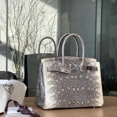 Birkin 25 in Original Lizard Leather
