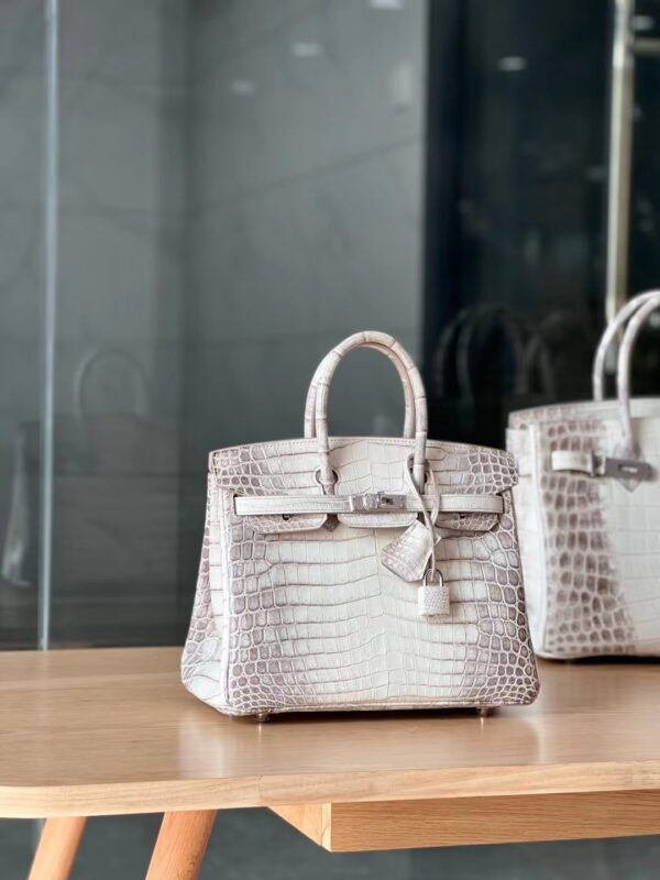 Birkin 30 Himalaya