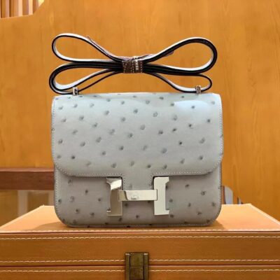 Constance 18 Ostrich in Blue Glacier