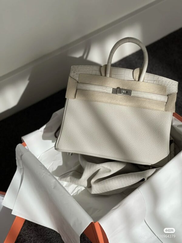 Birkin 25 Togo&Crocodile Beton