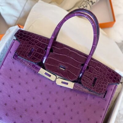Birkin 25 Ostrich&Croco in Violet