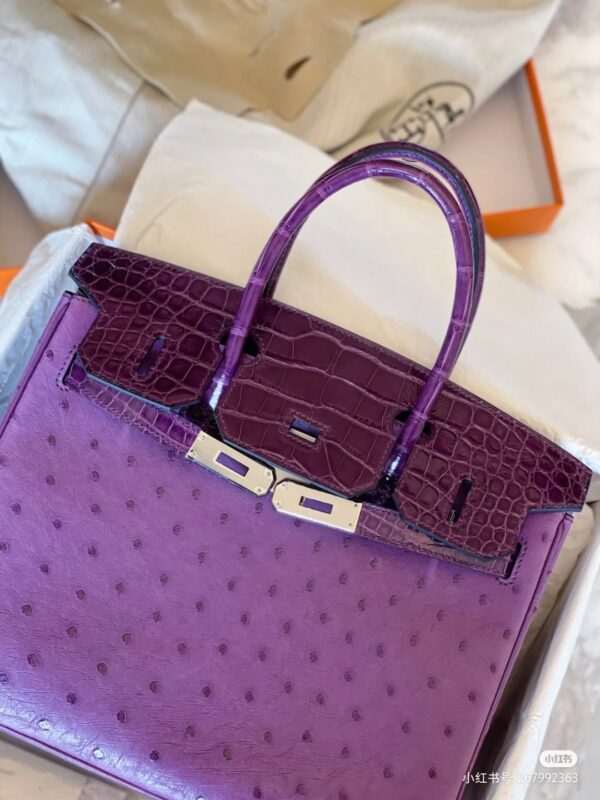 Birkin 25 Ostrich&Croco in Violet