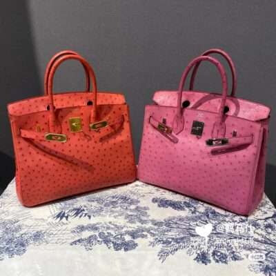 Birkin 25 Ostrich in Feu and Pink