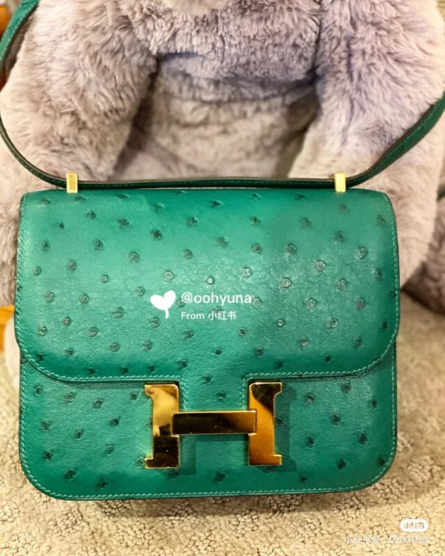 Constance 18 Ostrich in Menthe