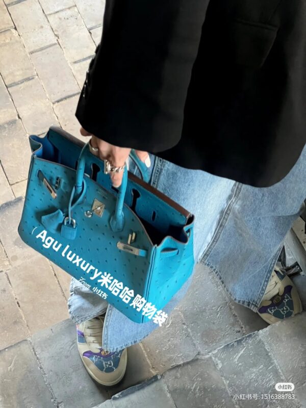 Birkin 30 Ostrich in Crystal Blue