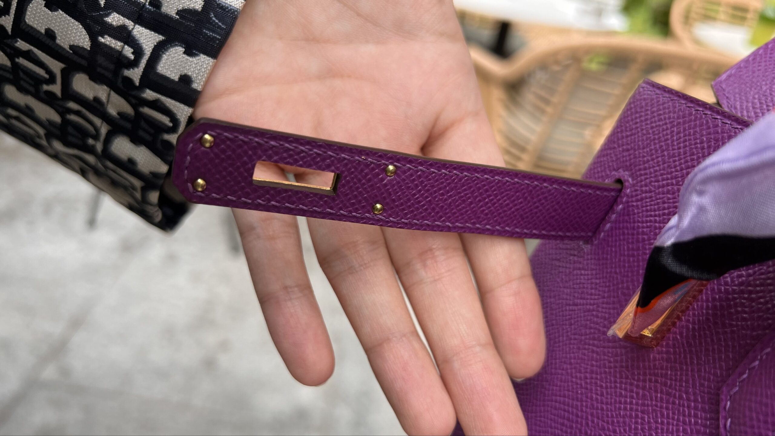 Birkin 25 Epsomin Anemone - Image 7