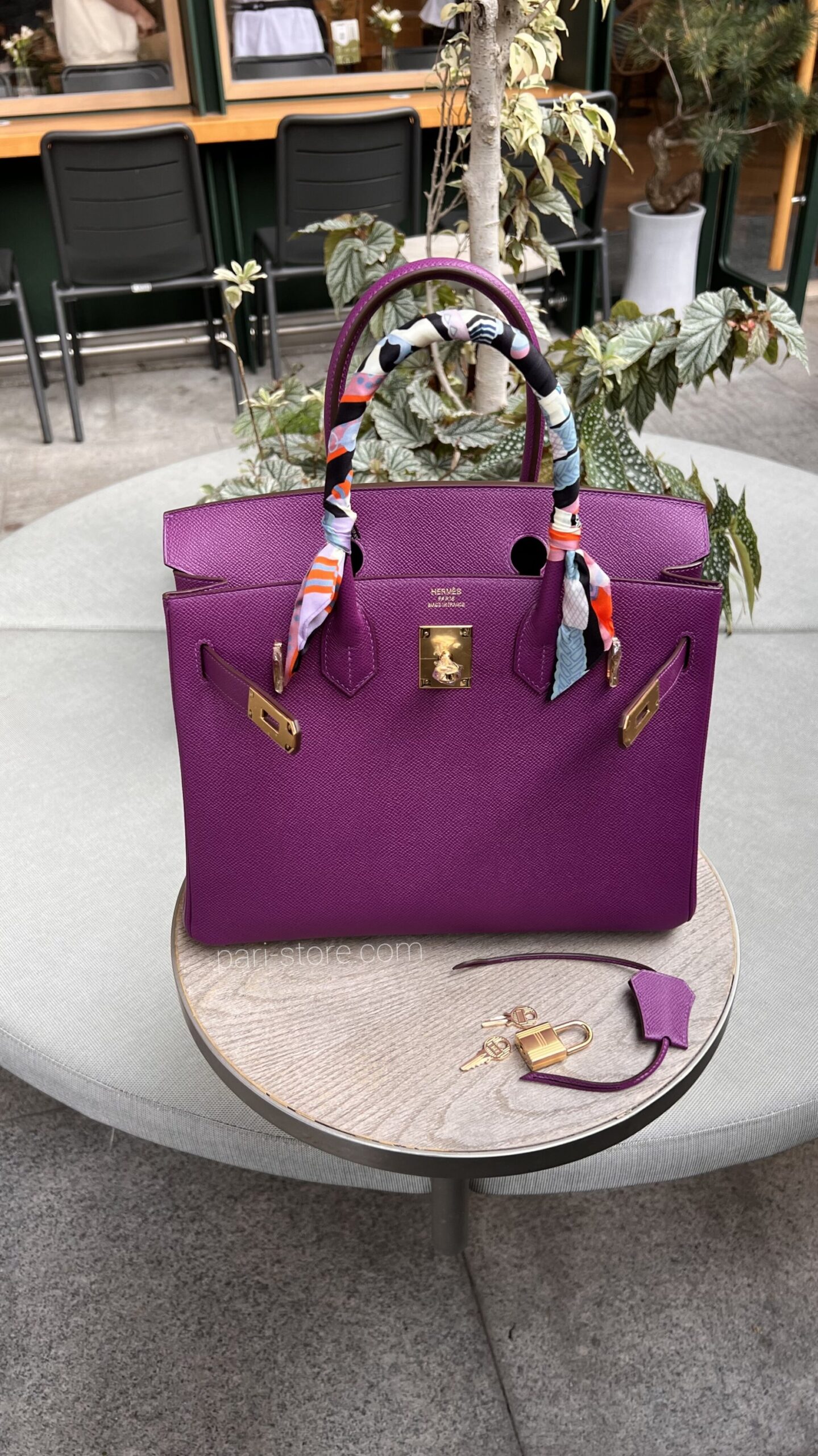 Birkin 25 Epsomin Anemone - Image 3