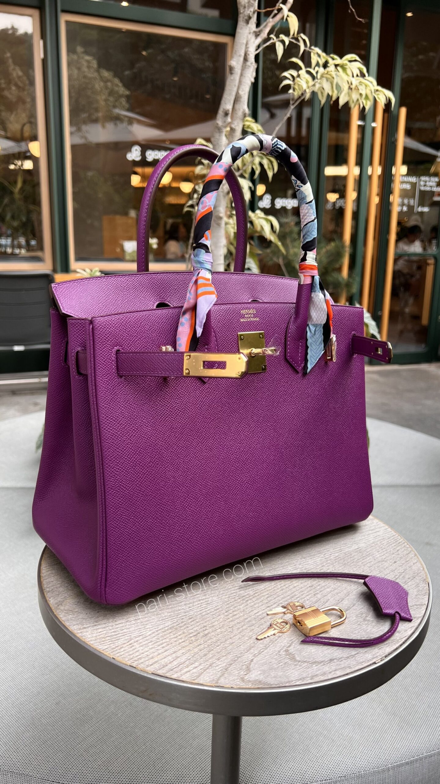 Birkin 25 Epsomin Anemone - Image 4