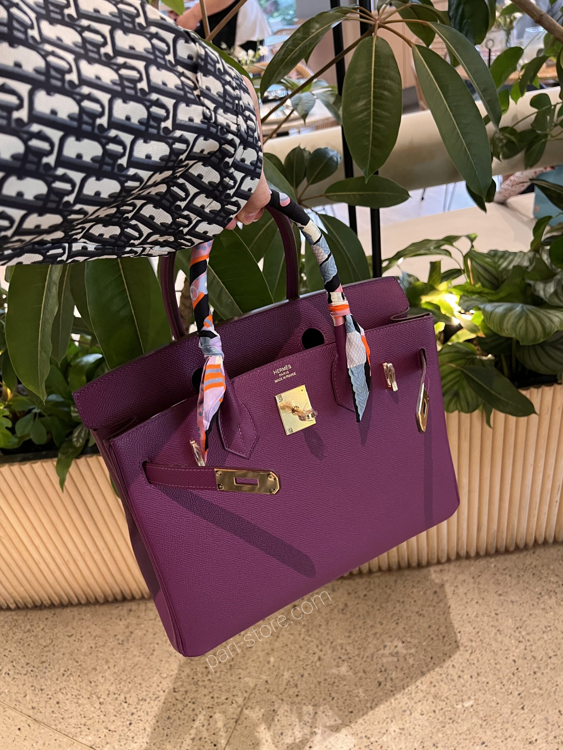 Birkin 25 Epsomin Anemone - Image 12