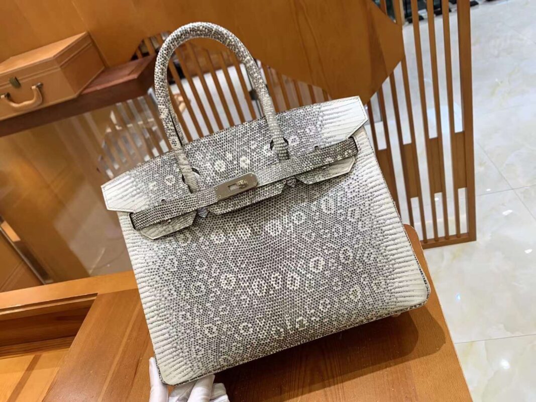 Birkin 30 Lizard