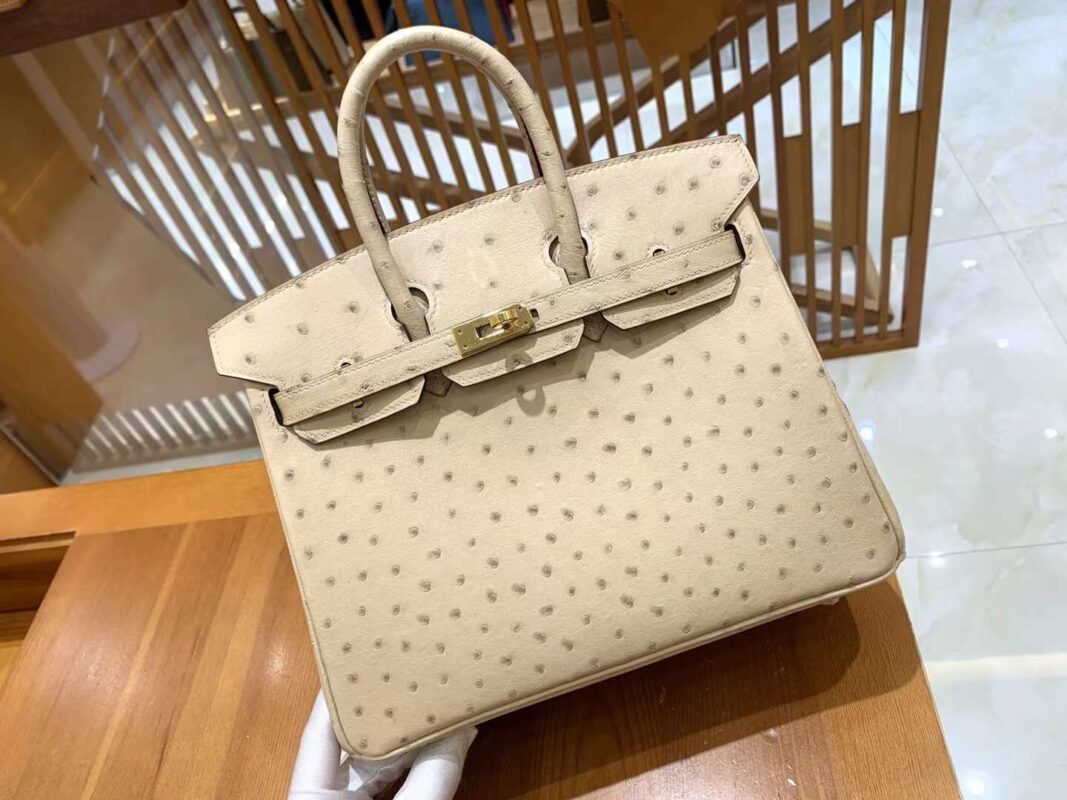 Birkin 25 Ostrich