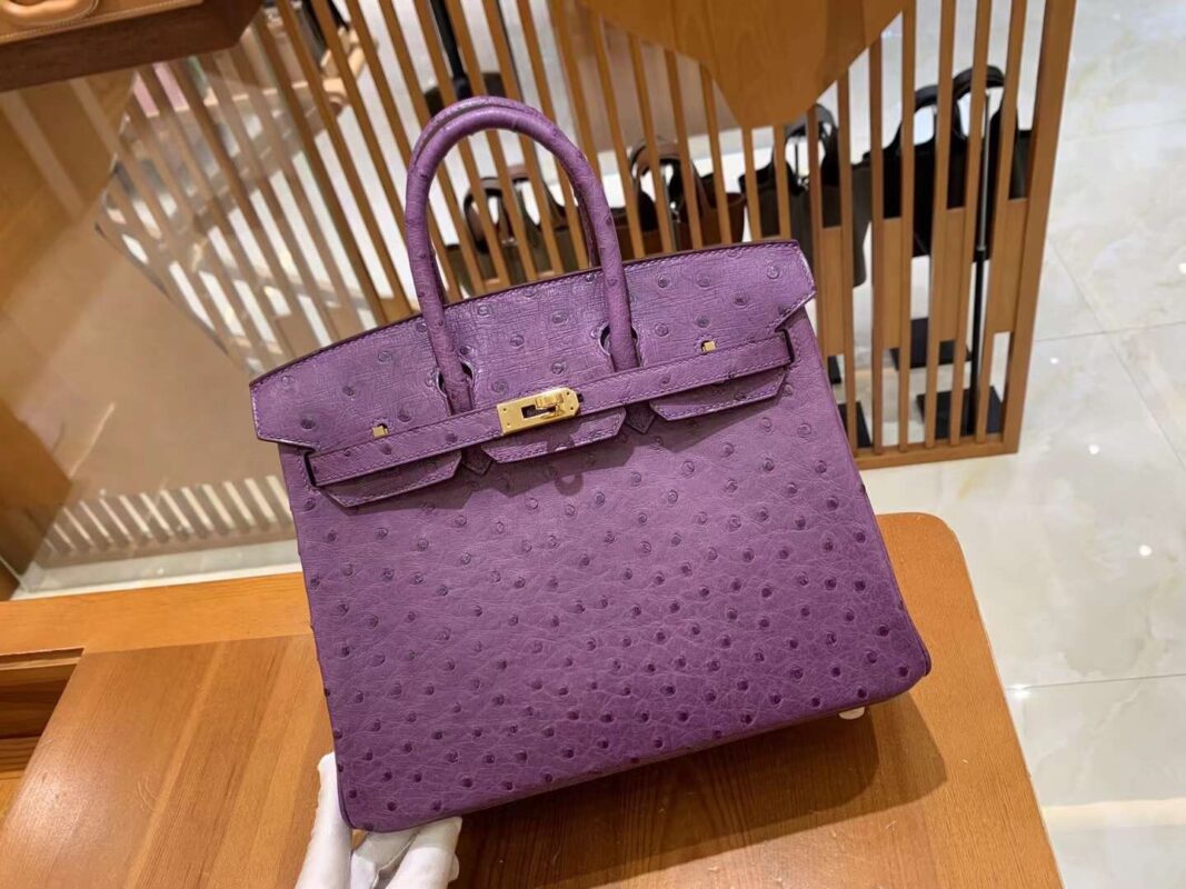Birkin 25 Ostrich