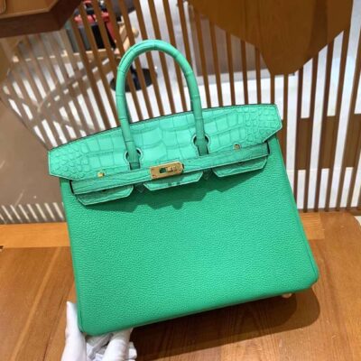 Birkin Touch 25 in Menthe