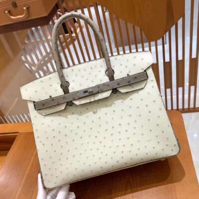 Birkin 30 Ostrich in Craie&Gris