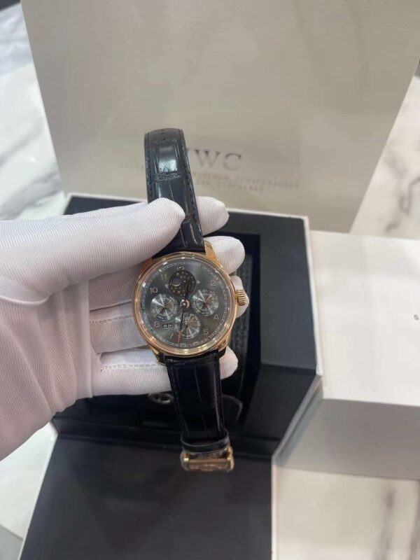 IWC Schaffhausen Steel Watch