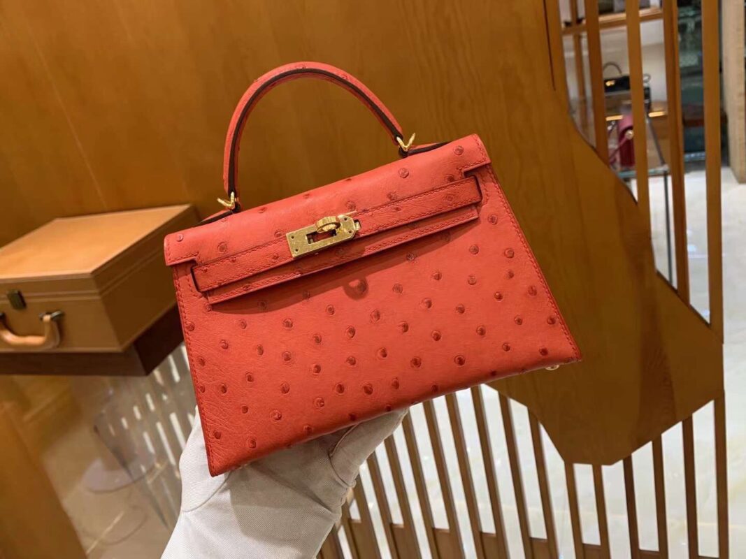Mini Kelly Ostrich Rouge