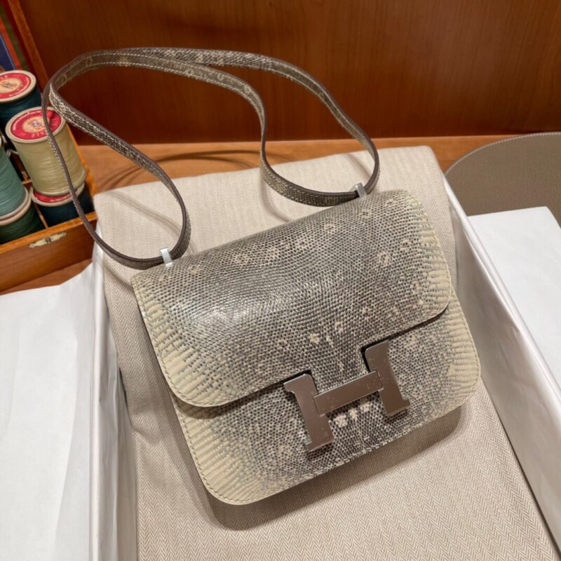 Constance 18 Lizard in Natural Ombre Color