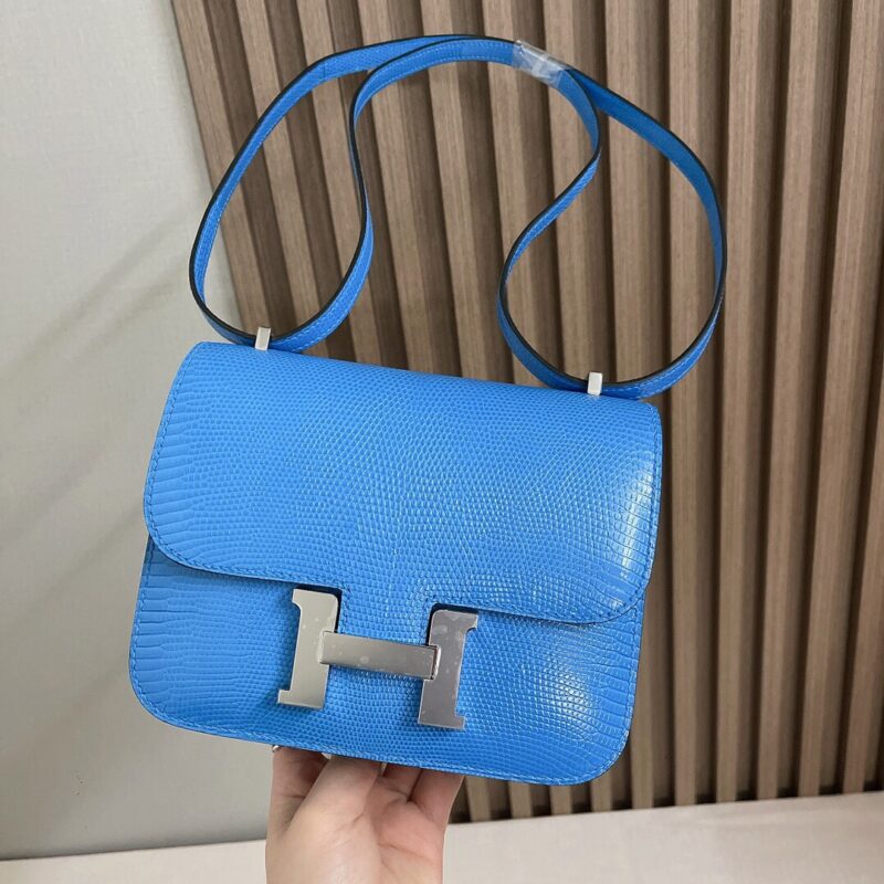 Constance 18 Lizard in Mykonos