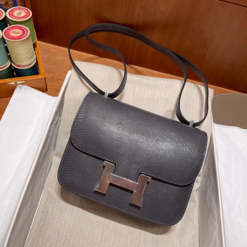 Constance 18 Lizard in Etain