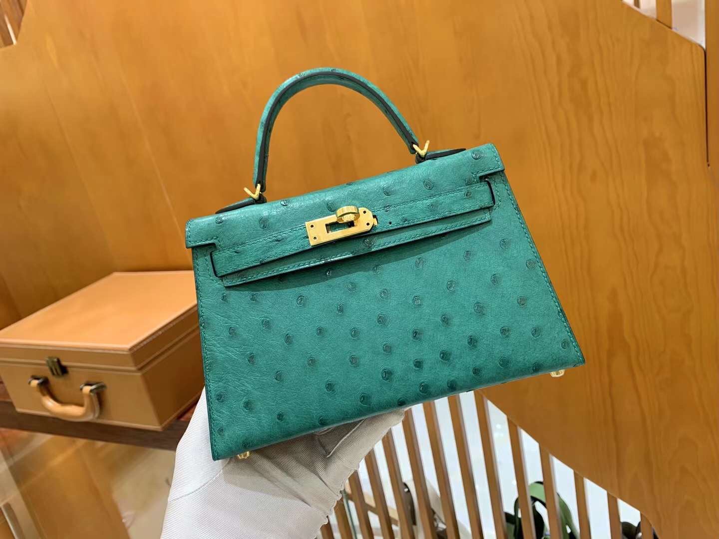 img_9895 Mini Kelly Ostrich Vert Vertigo - Image 1