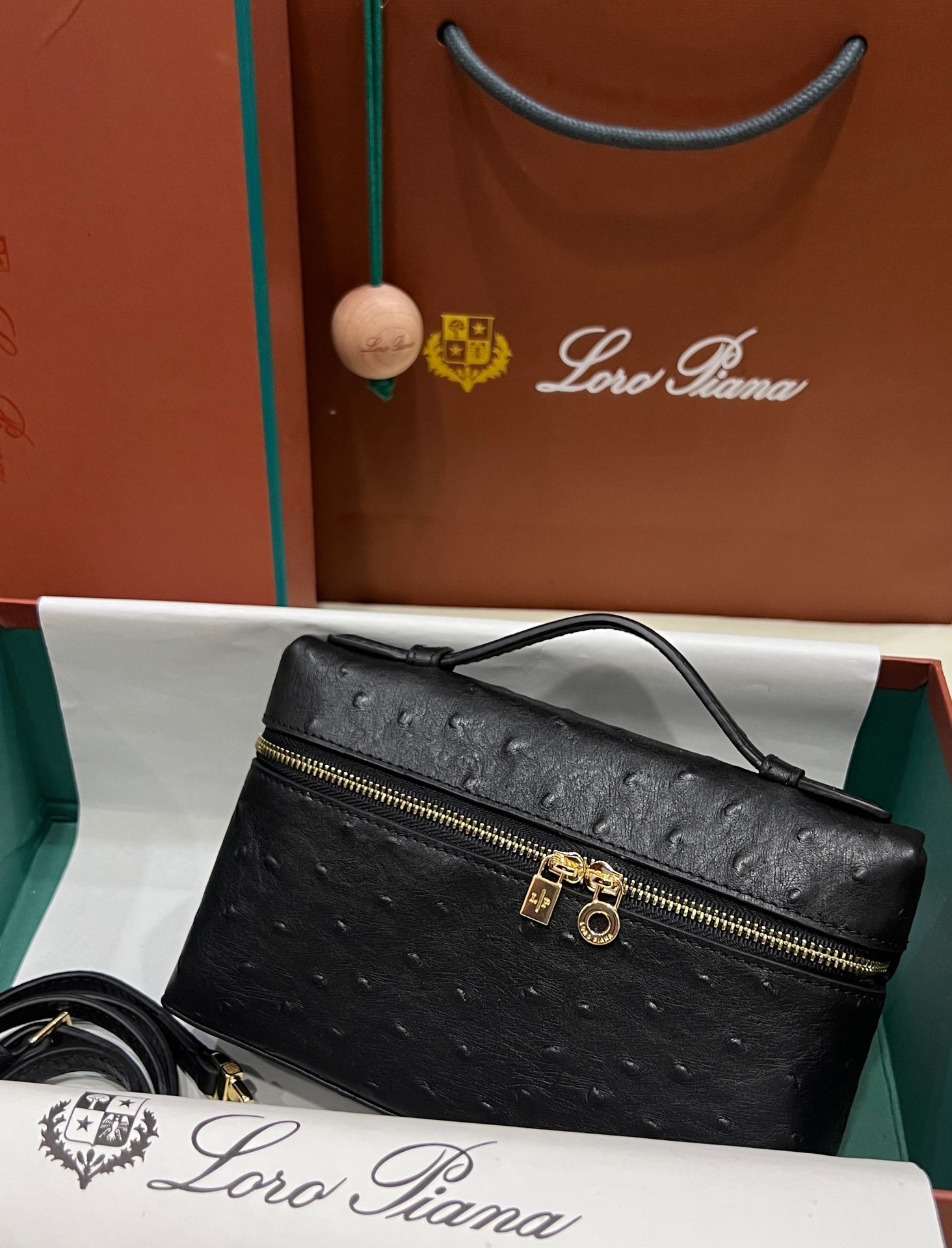 1000013922.jpg Loro Piana Neo L19 in Black Ostrich - Image 1