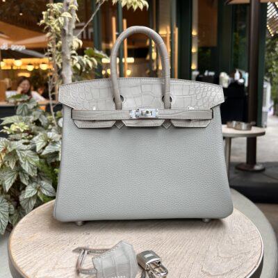 Birkin Touch 25 in Gris Perle
