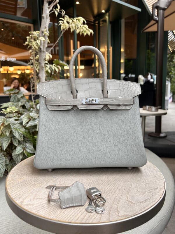 Birkin Touch 25 in Gris Perle