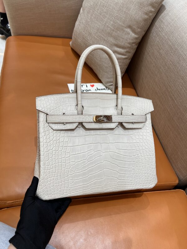 Birkin 25 in Craie Matte Crocodile