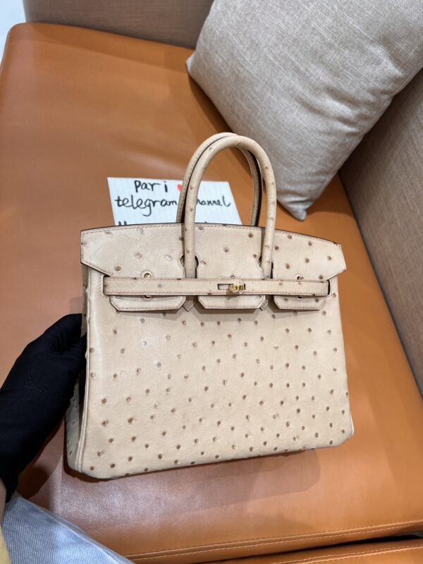 Birkin 25 in Parchemin Ostrich