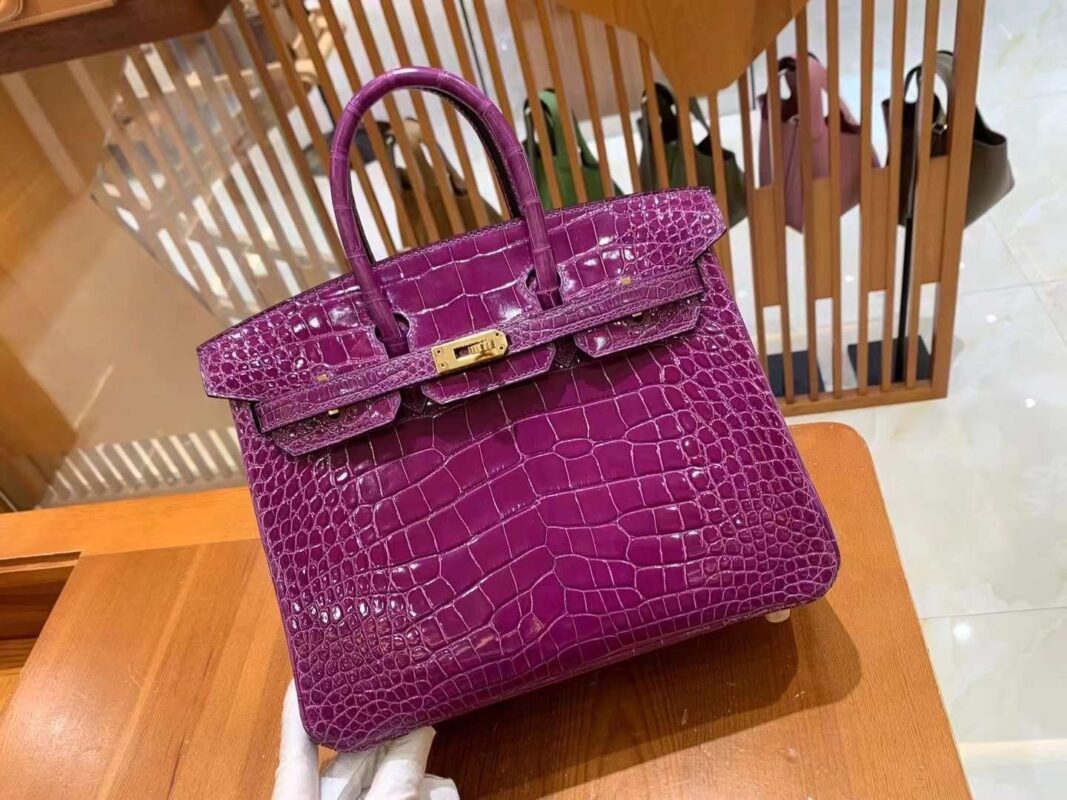Birkin 25 in Violet Shiny Crocodile